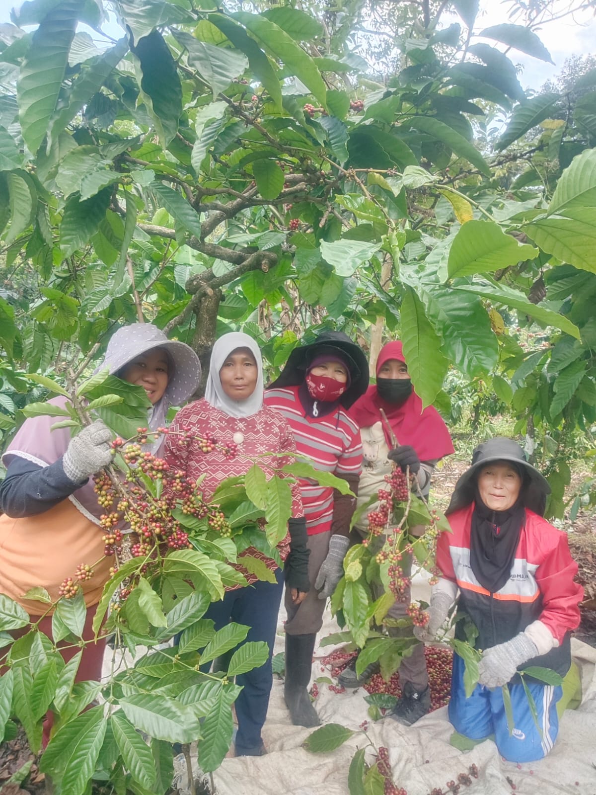 Dokumentasi Kopi Kutjur Gallery 6